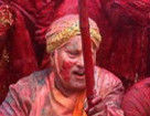 色彩缤纷的印度洒红节